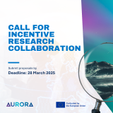 Call for Incentive Research Collaboration 2025